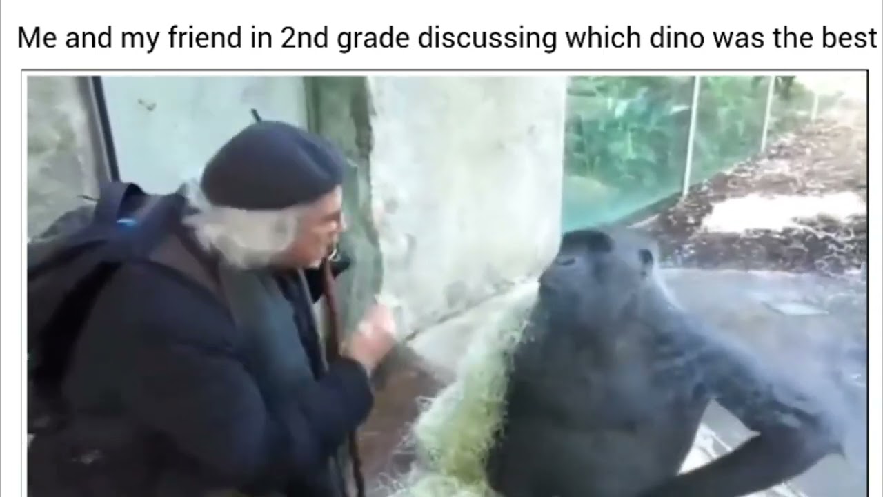 2nd graders