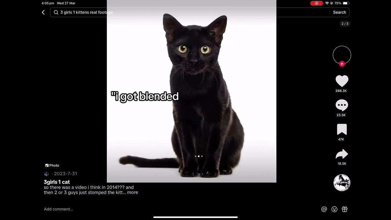 3 Girls 1 Kitten * (read desc to watch the vid)