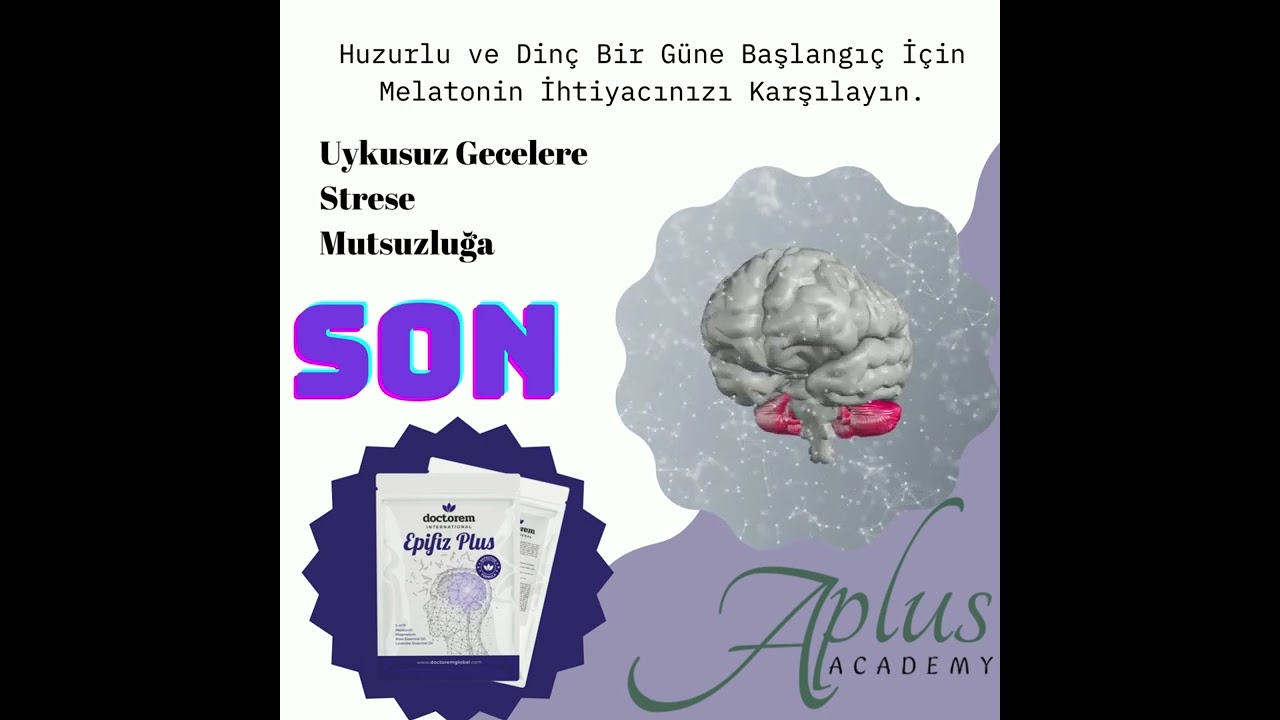 3 Kasım 2022