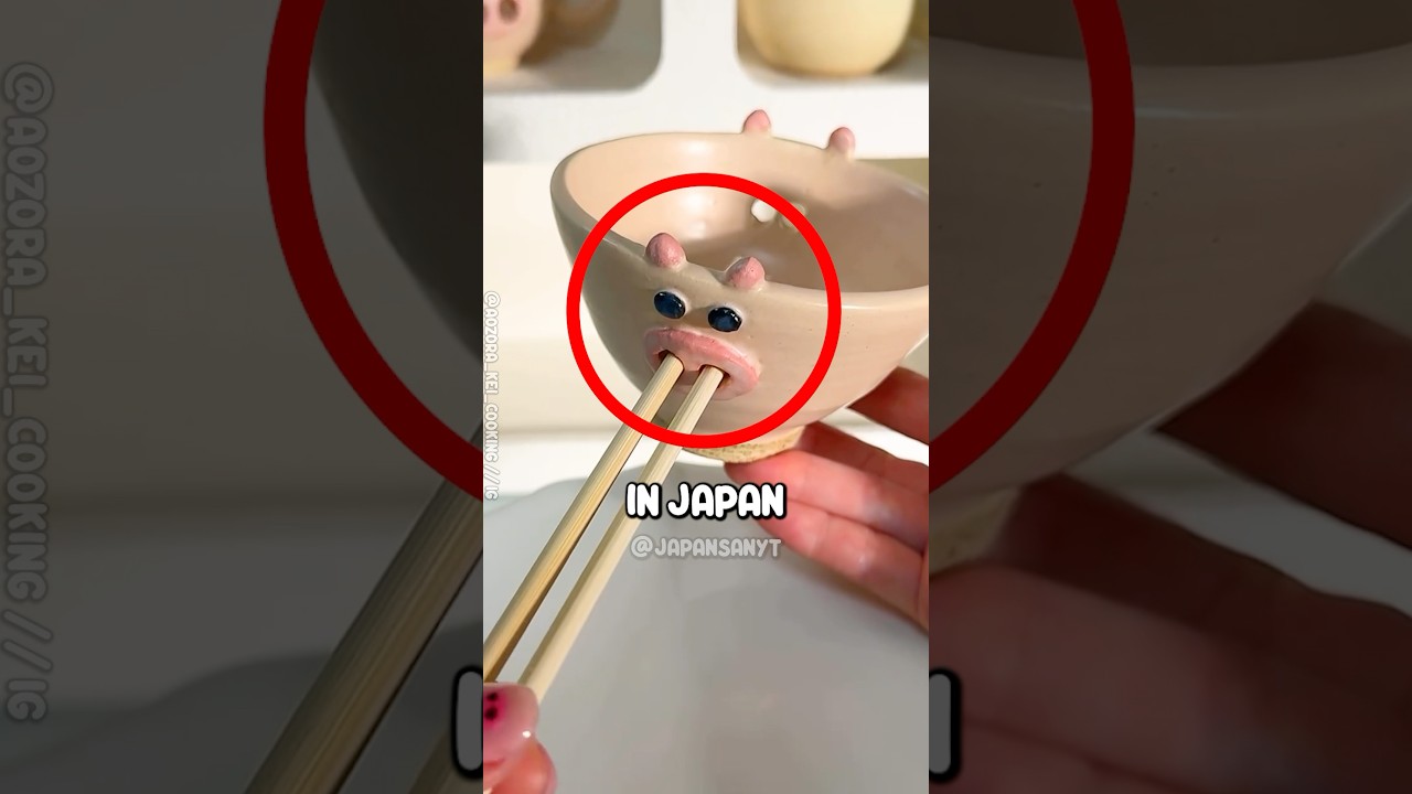 3 Things In Japan That Just Make Sense!