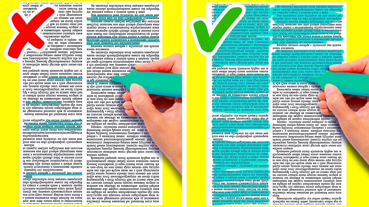 33 KUTSAL OKUL VE UNİVERSİTE TÜYOSU