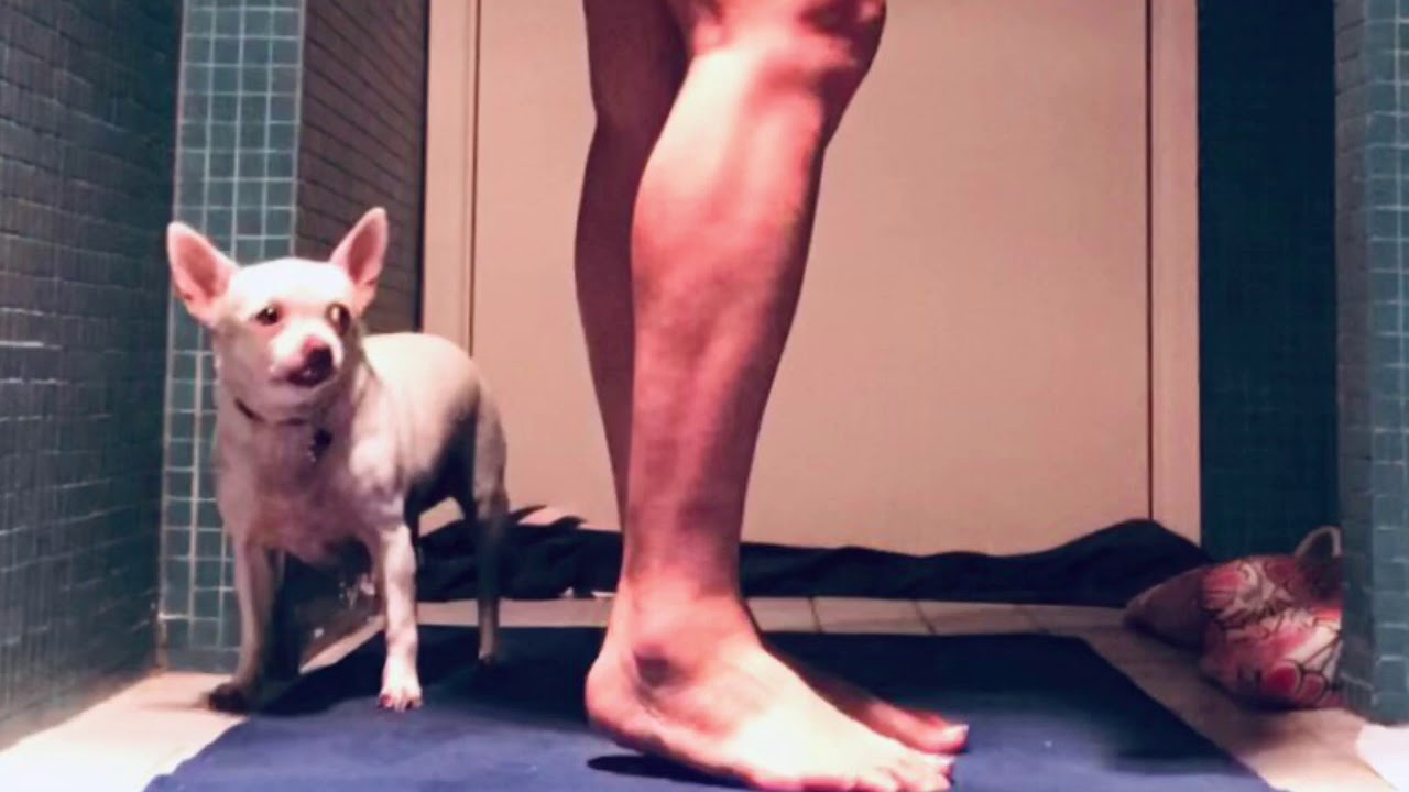 33/200 hours yoga challenge