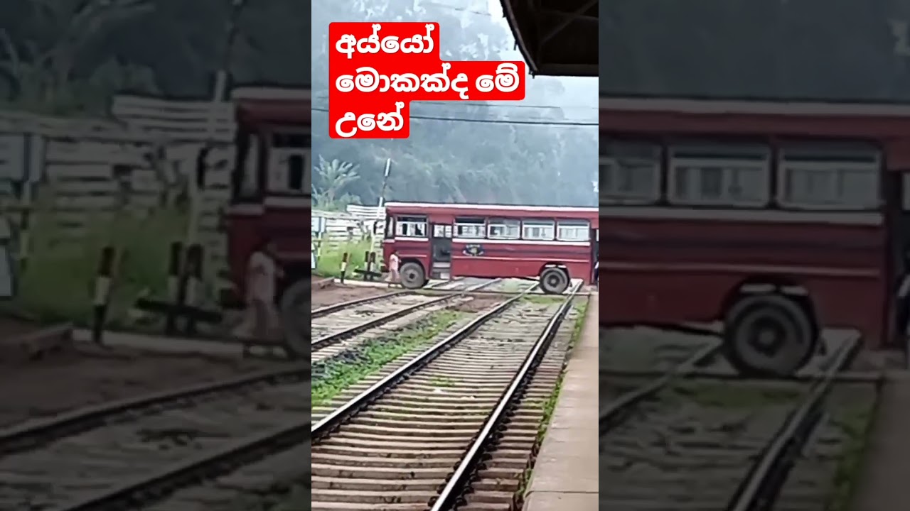 3.36 million views /bus stoped 😭😭😭on railway crossing  unexpectedly| Heeloya Srilanka |trainSL|BUS🚒🙏