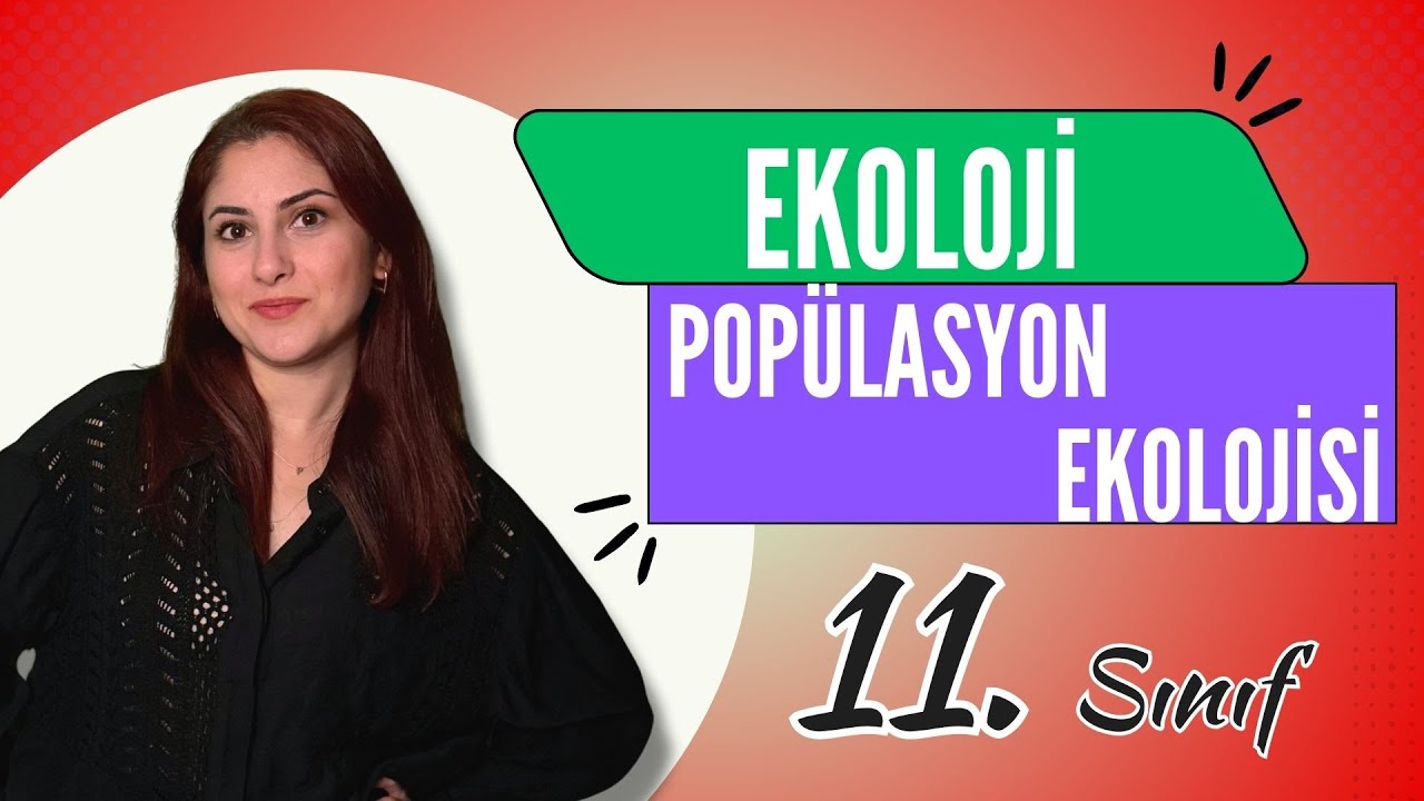 34) POPÜLASYON EKOLOJİSİ | 11. SINIF | AYT BİYOLOJİ DERS NOTLARI 2024