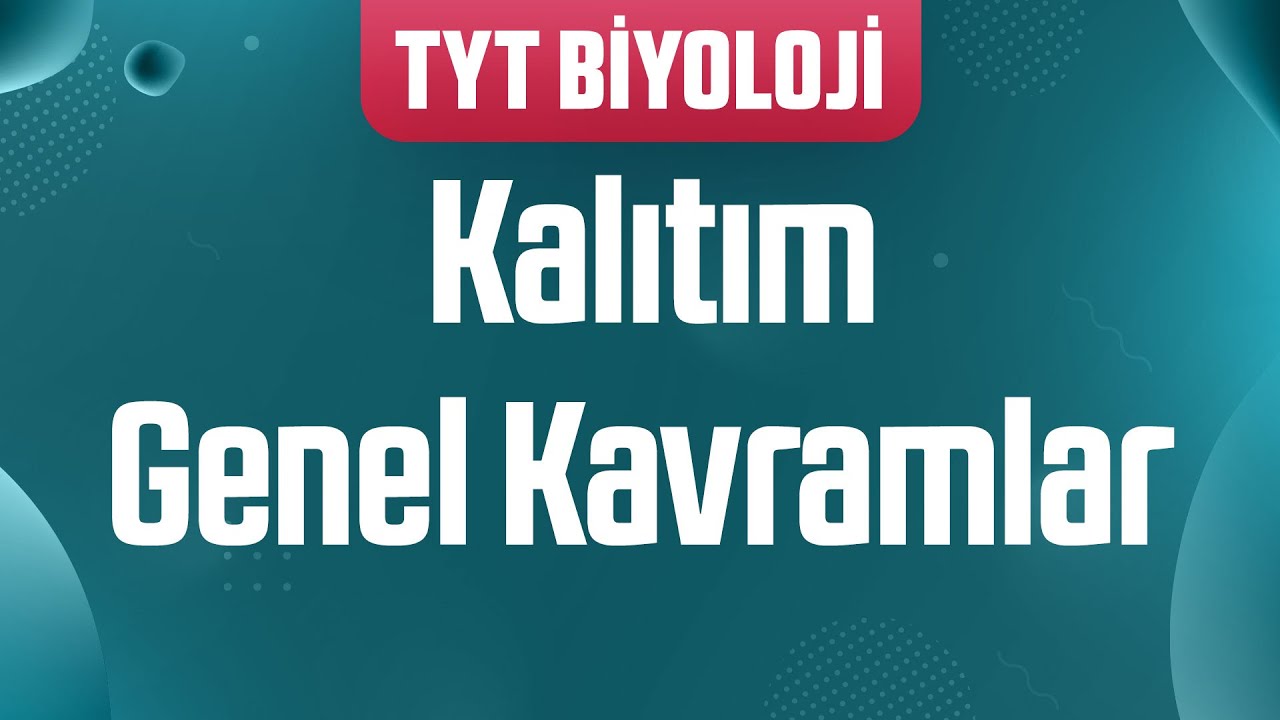 37) Tüm Kavramlarla Kalıtım : Genel Kavramlar