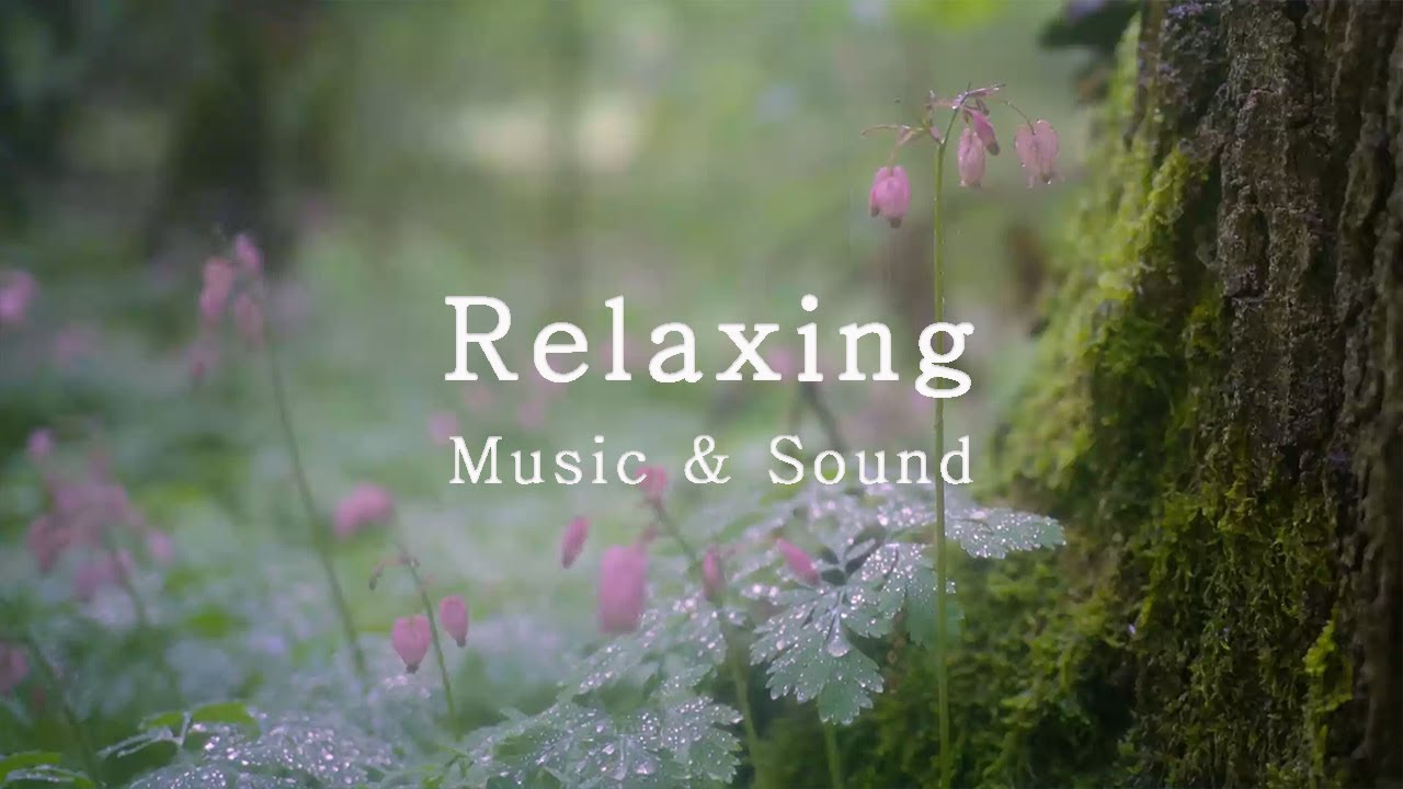 3Hrs, Yiruma, Kiss the Rain - Rain Sound, Calm Piano, Beautiful Piano Music, Calm Piano, Relaxing