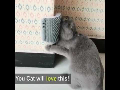 3-in-1 bathing, tickling, petting, cat self-grooming comb brush