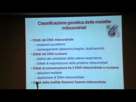4 Convegno Nazionale Malattie Mitocondriali - Antonio Toscano