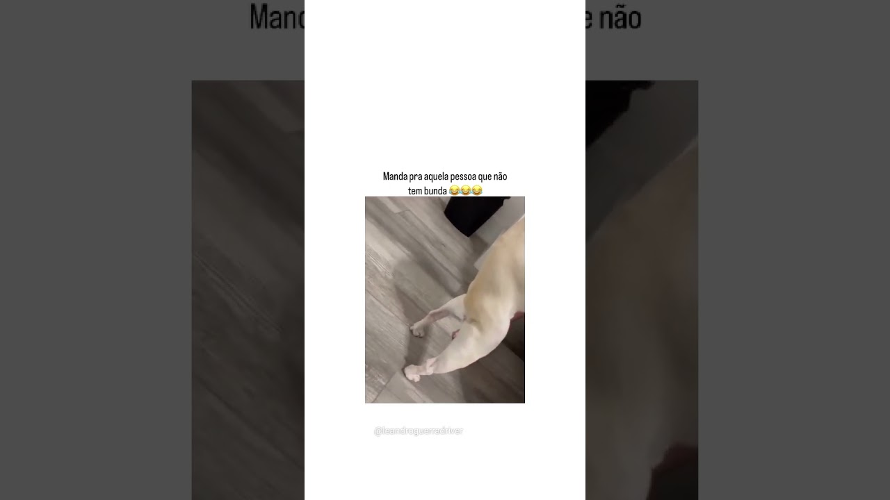 4 de fevereiro de 2024