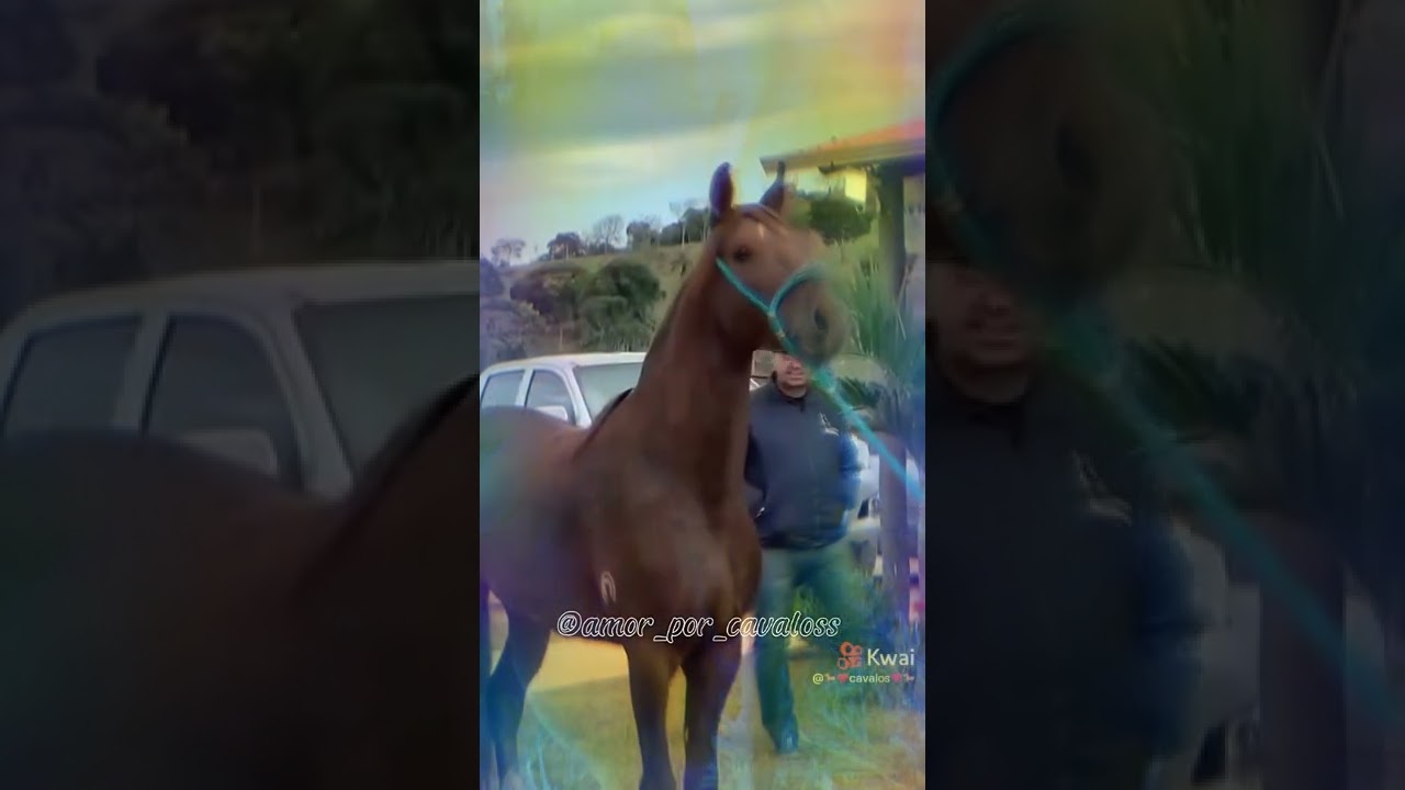 4 de novembro de 2022