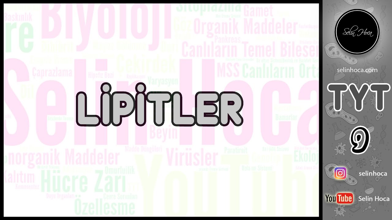 4) Lipitler