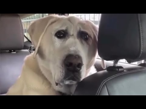 4 Minutes of Gym Memes