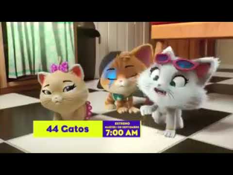 44 gatos Azteca 7