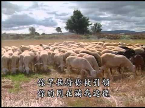 是爱的神作我牧人（诗歌444）