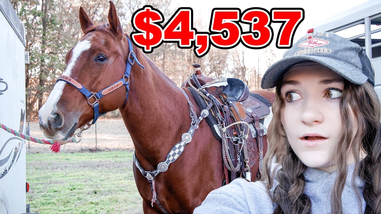$4,537 VS $865 TACK SET!