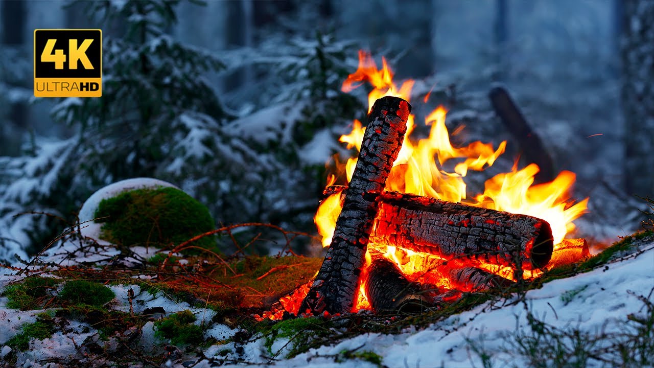 4K Campfire in a Snowy Forest ❄️ 100% Authentic Sounds 🎁 X-Mas