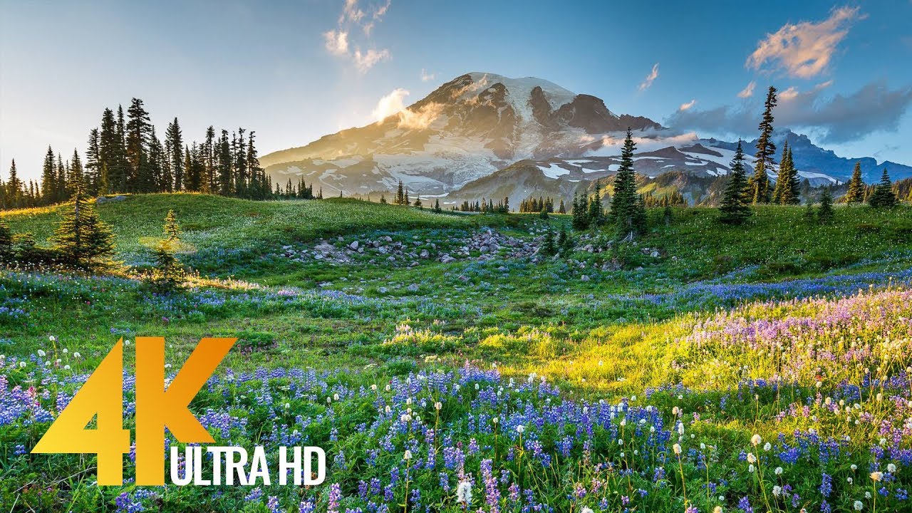 4K Mount Rainier National Park - Nature Relax Video, Summer Scenery - 2 HRS
