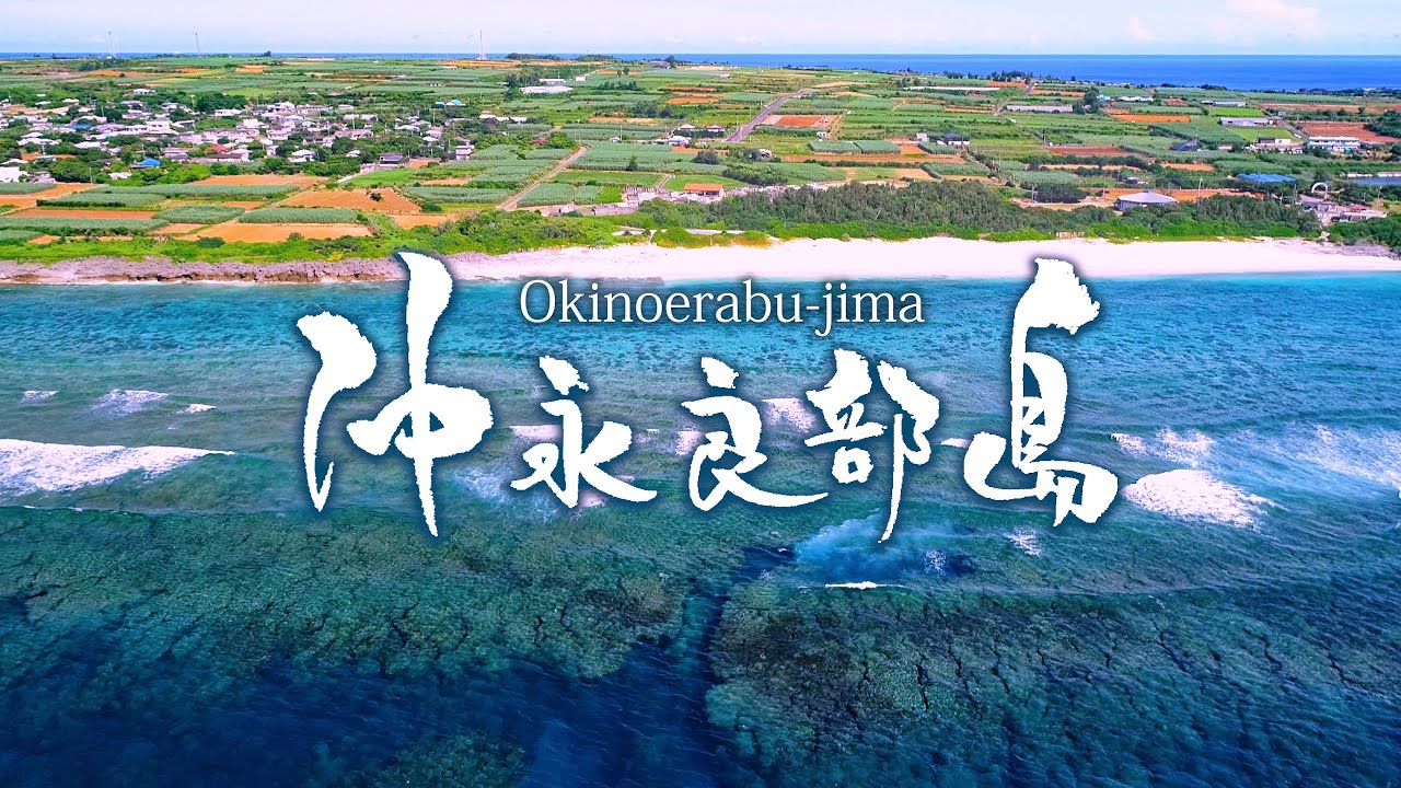 沖永良部島「ここで生まれたわたしでよかった」4k UHD Okinoerabu island