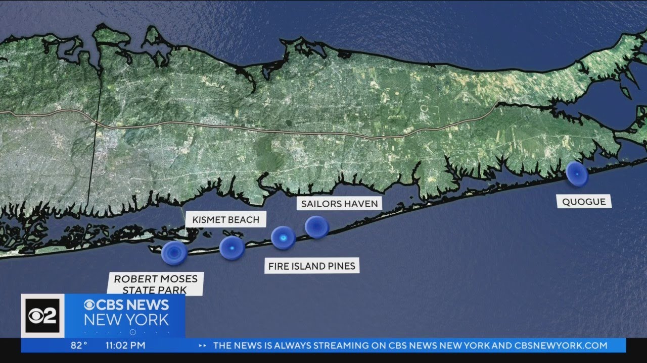 5 bitten by sharks off Long Island in about 36 hours
