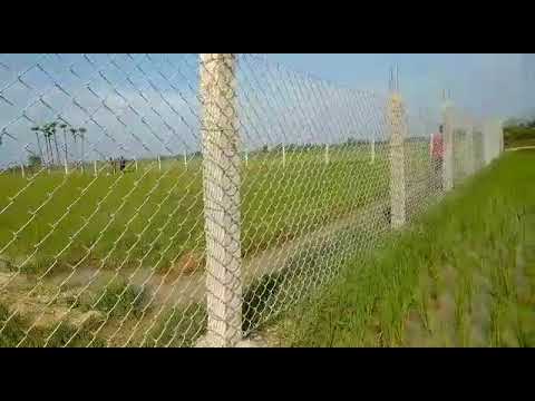5 Feet Chain link Fence with cement pole