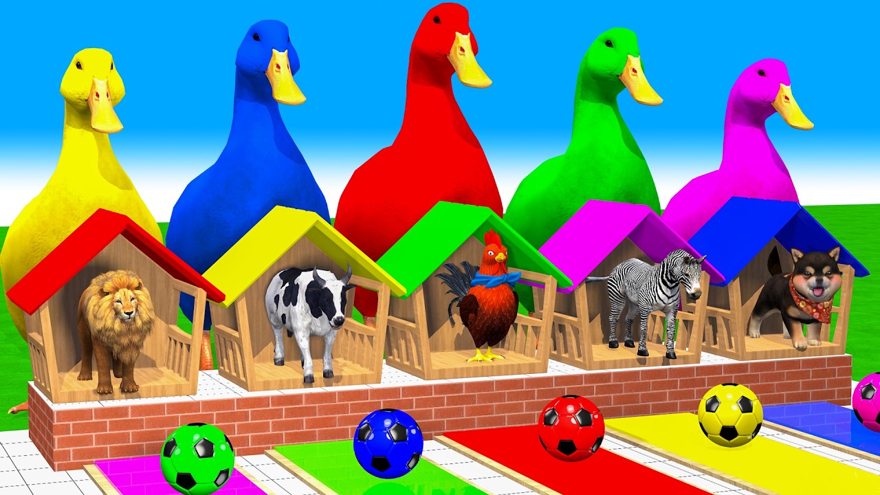 5 Giant Duck & Wild Animals Cage Game Cow Gorilla Rhinoceros Elephant Sheep Crossing Fountain