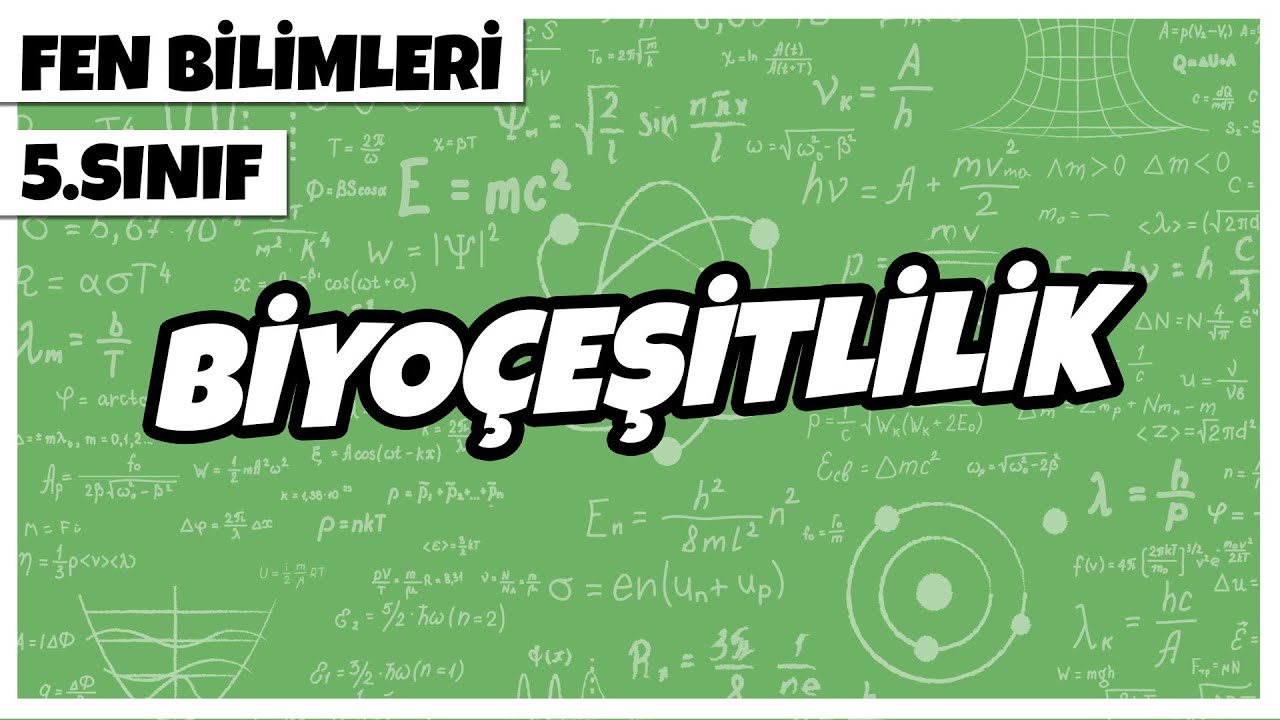 5. Sınıf Fen Bilimleri - Biyoçeşitlilik | 2022