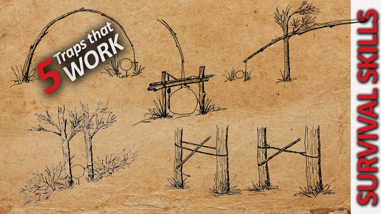 5 Survival Traps and Snares that WORK! - Primitive Traps