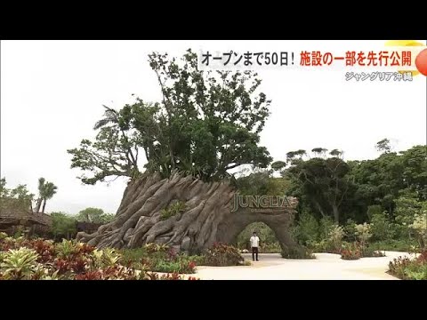 開業まで50日！ジャングリア沖縄　内部が初公開（沖縄テレビ）2025/6/06