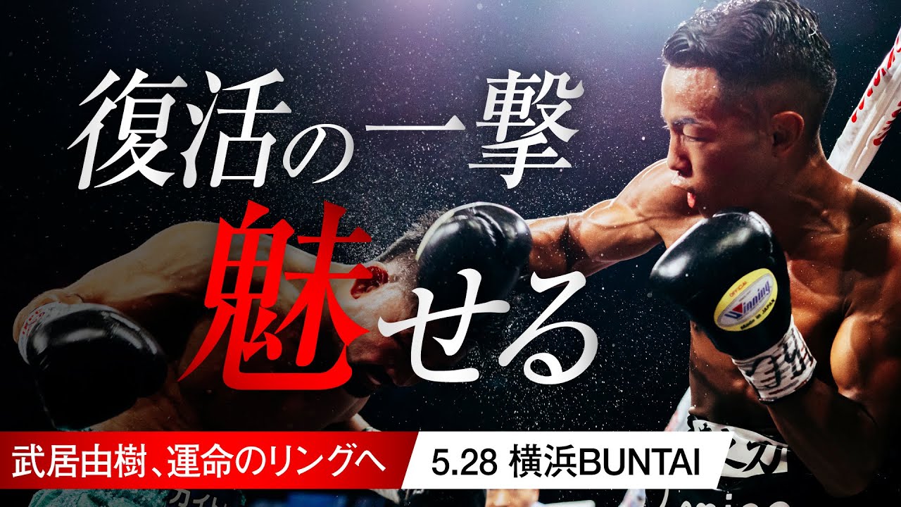 【5.28 横浜BUNTAI】完全復活へ-KO防衛なるか | 武居由樹 | WBO世界バンタム級王座防衛戦