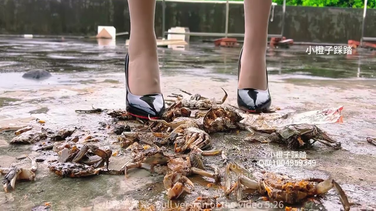 52期Red soled high heels crush crab shells
