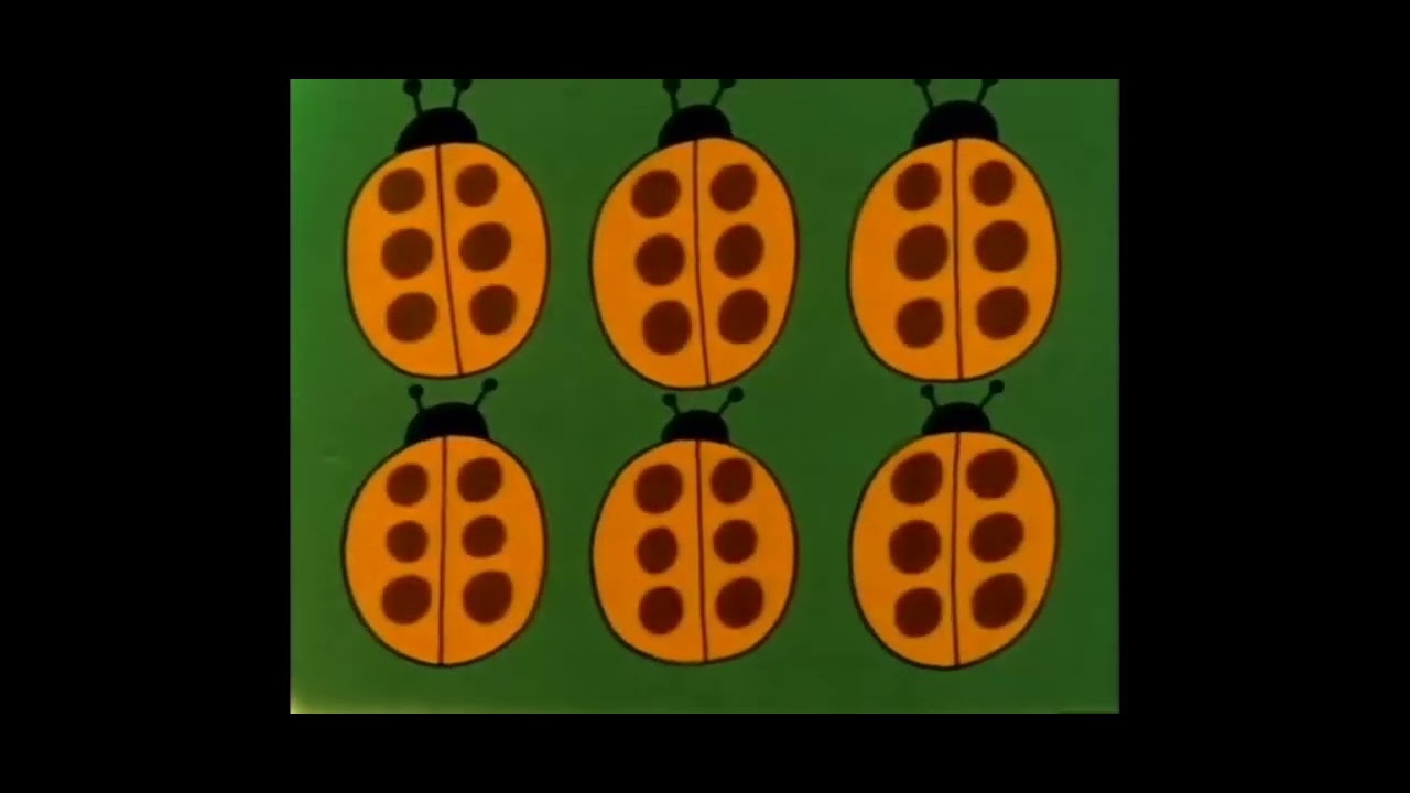6 Lady bug