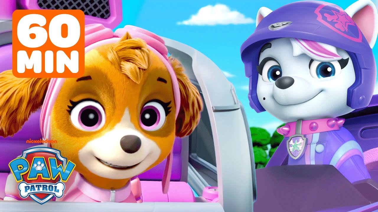 60 MINUTES of PAW Patrol Flying High in the Sky on Rescues & Missions! 🚁 w/ Skye | Shimmer and Shine