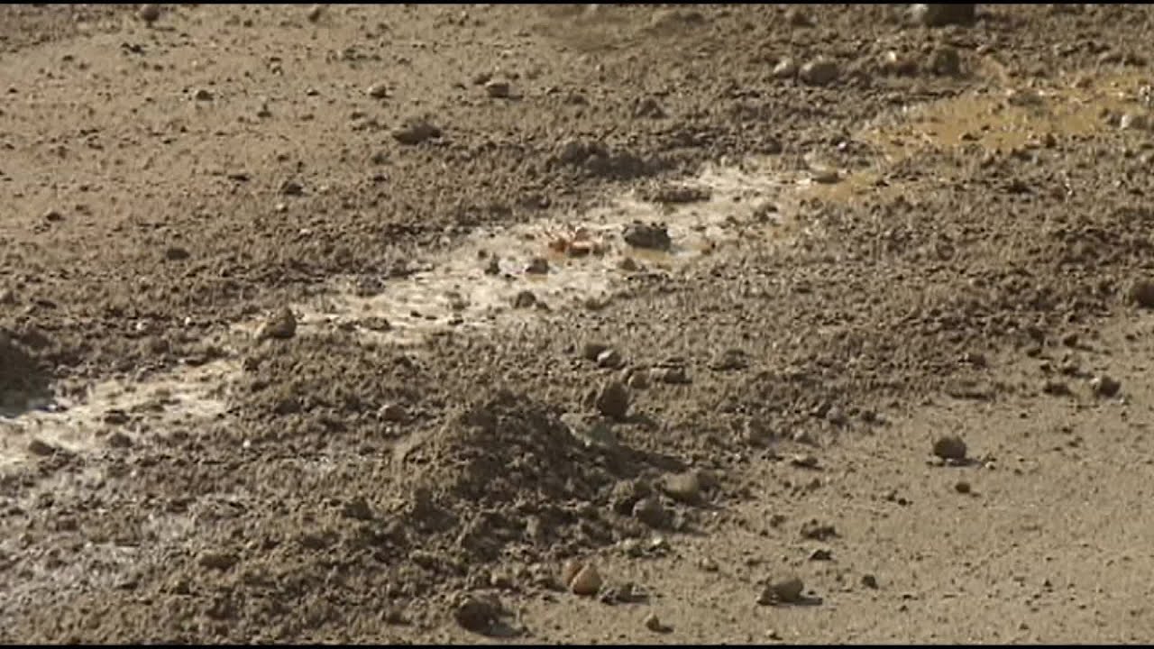 600 lbs of cooking oil spilled onto road in Feeding Hills