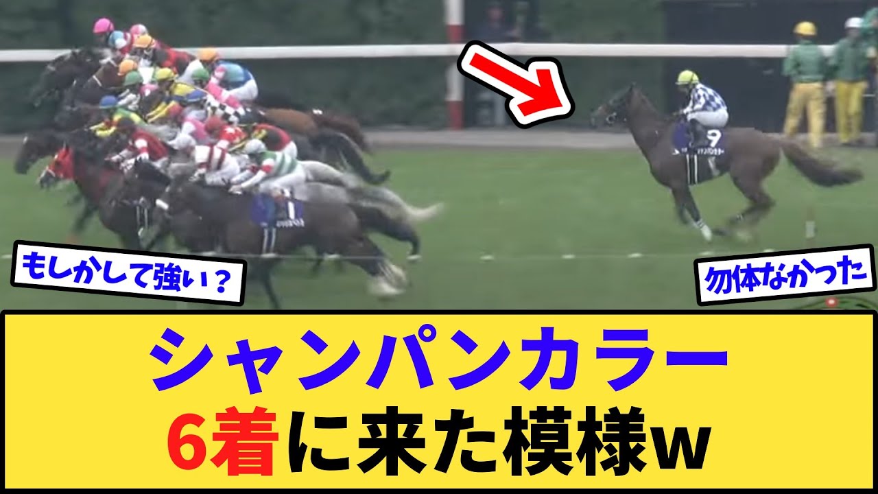 【朗報】超出遅れたシャンパンカラー、6着に来てる件www