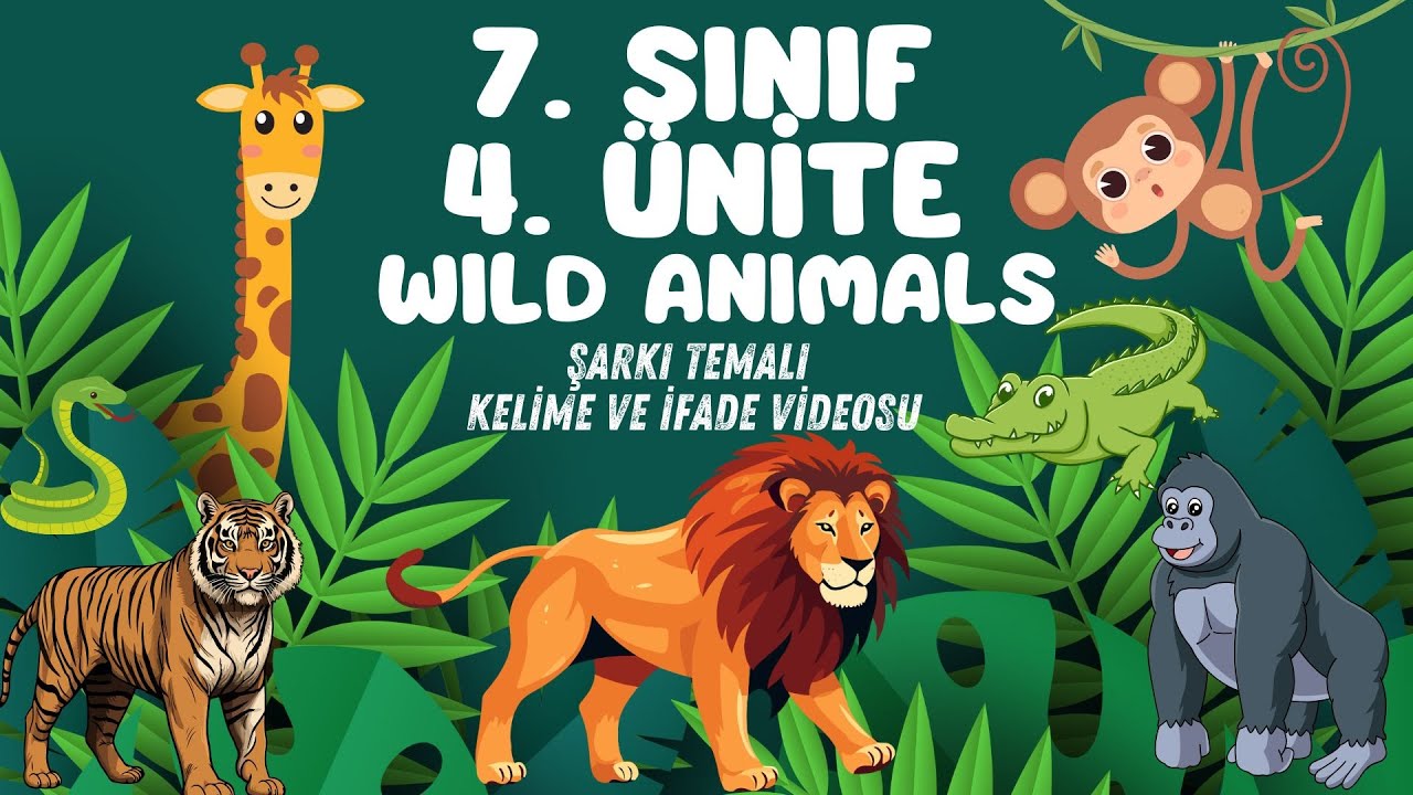 7. SINIF 4. ÜNİTE WILD ANIMALS ŞARKI TEMALI KELİME VE İFADE VİDEOSU