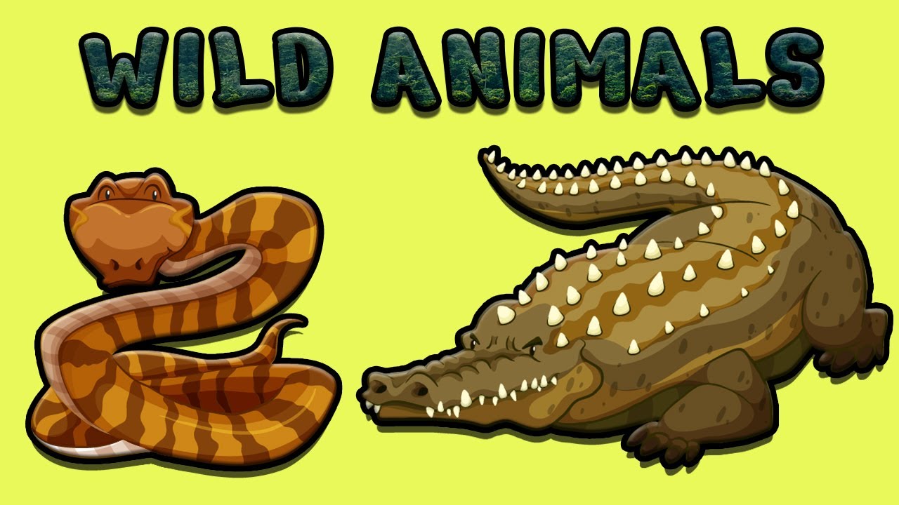 7.SINIF İNGİLİZCE 4.ÜNİTE KONU ANLATIMI VE KELİMELERİ | WILD ANIMALS | İNGİLİZCE VAHŞİ HAYVANLAR
