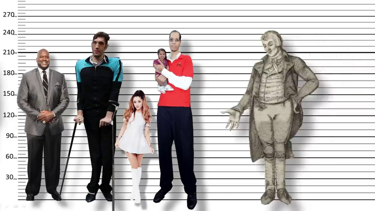 8 feet about giants height comparison of the tallest humans