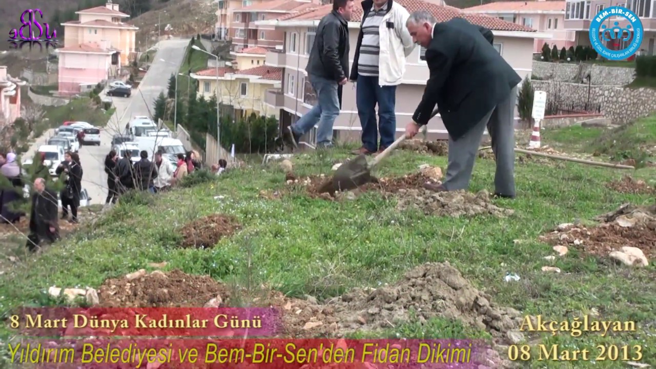8 Mart Kadınlar Günü Yıldırım Belediyesi ve Bem-Bir-Sen'den Fidan Dikimi