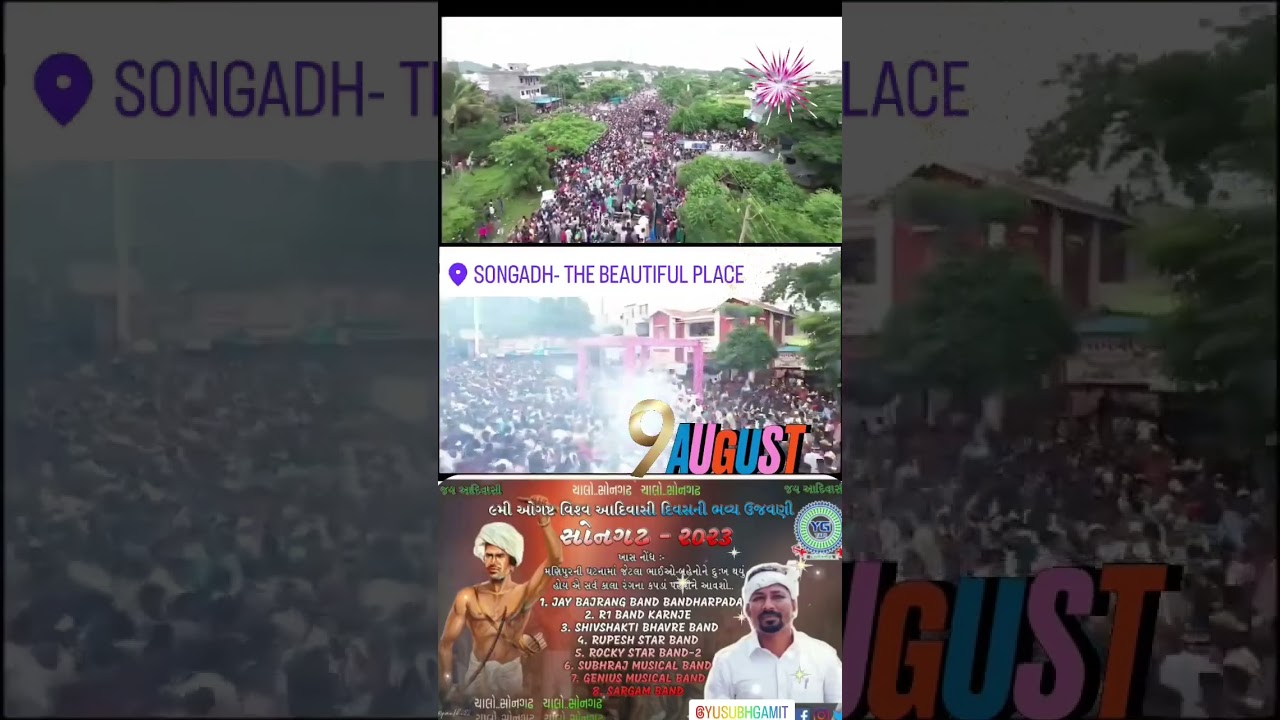 9 August Celebration At SONGADH With 8 Band Party, So Allz join #dance #adivasi #adivasidivas2022
