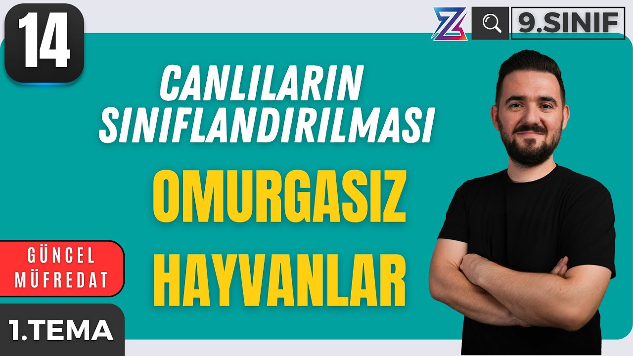 9. SINIF BİYOLOJİ YENİ MÜFREDAT | OMURGASIZ HAYVANLAR | MAARİF MODELİ | 14. DERS