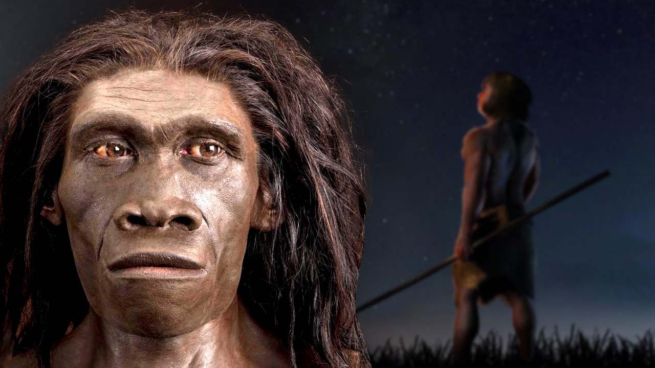 A Brief History Of The Most Successful Human Species: Homo Erectus
