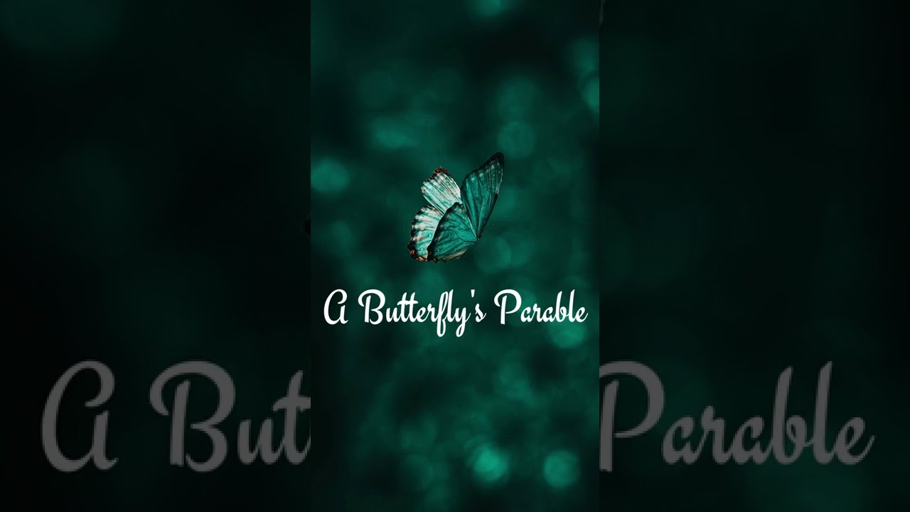 A Butterfly's Parable