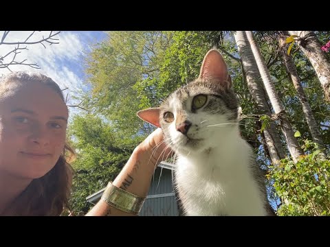 A cute little cat visits me in the sun while naked tanning (home movies) #lifestyle