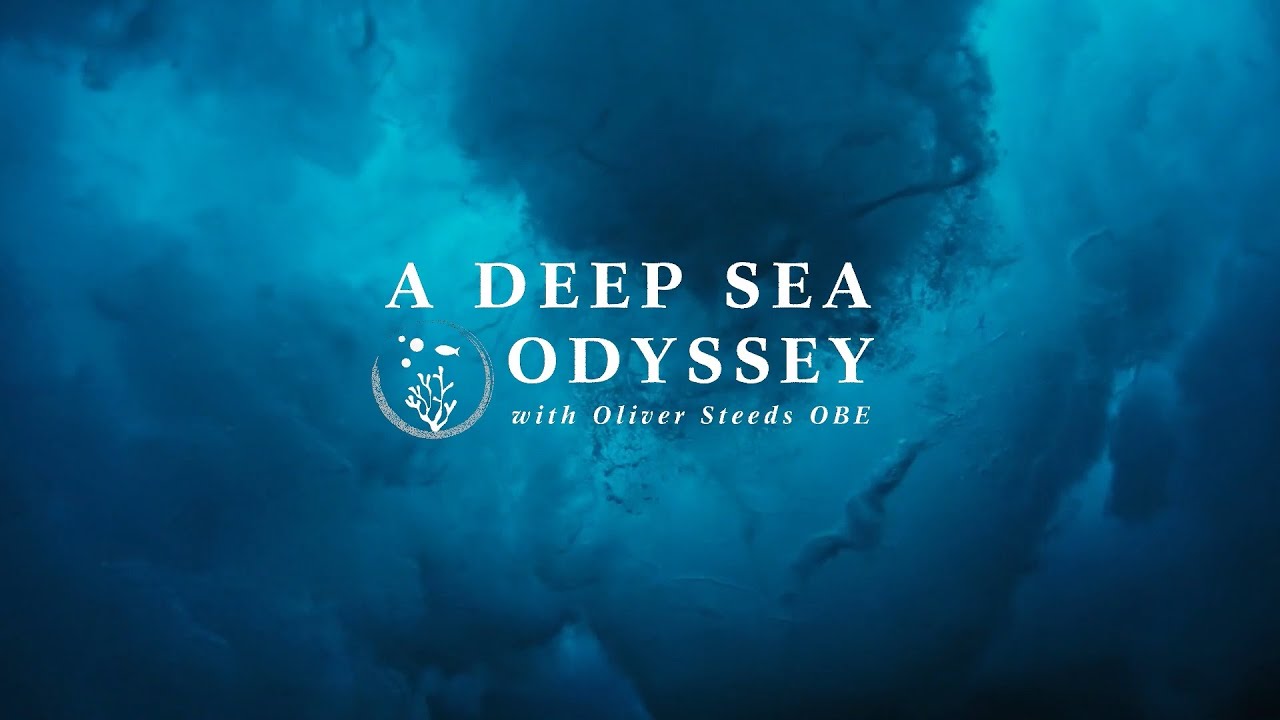 A Deep Sea Odyssey with Oliver Steeds at Vakkaru Maldives