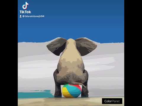 A Elephant Sitting On A Beachball🐘🏖