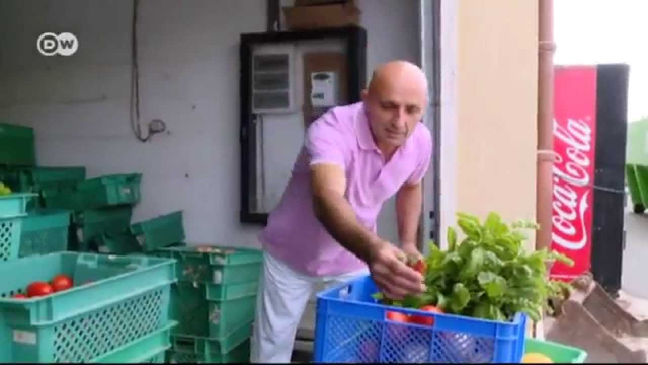 A Fish and Eggplant Meal from Gozo, Malta | Euromaxx à la carte