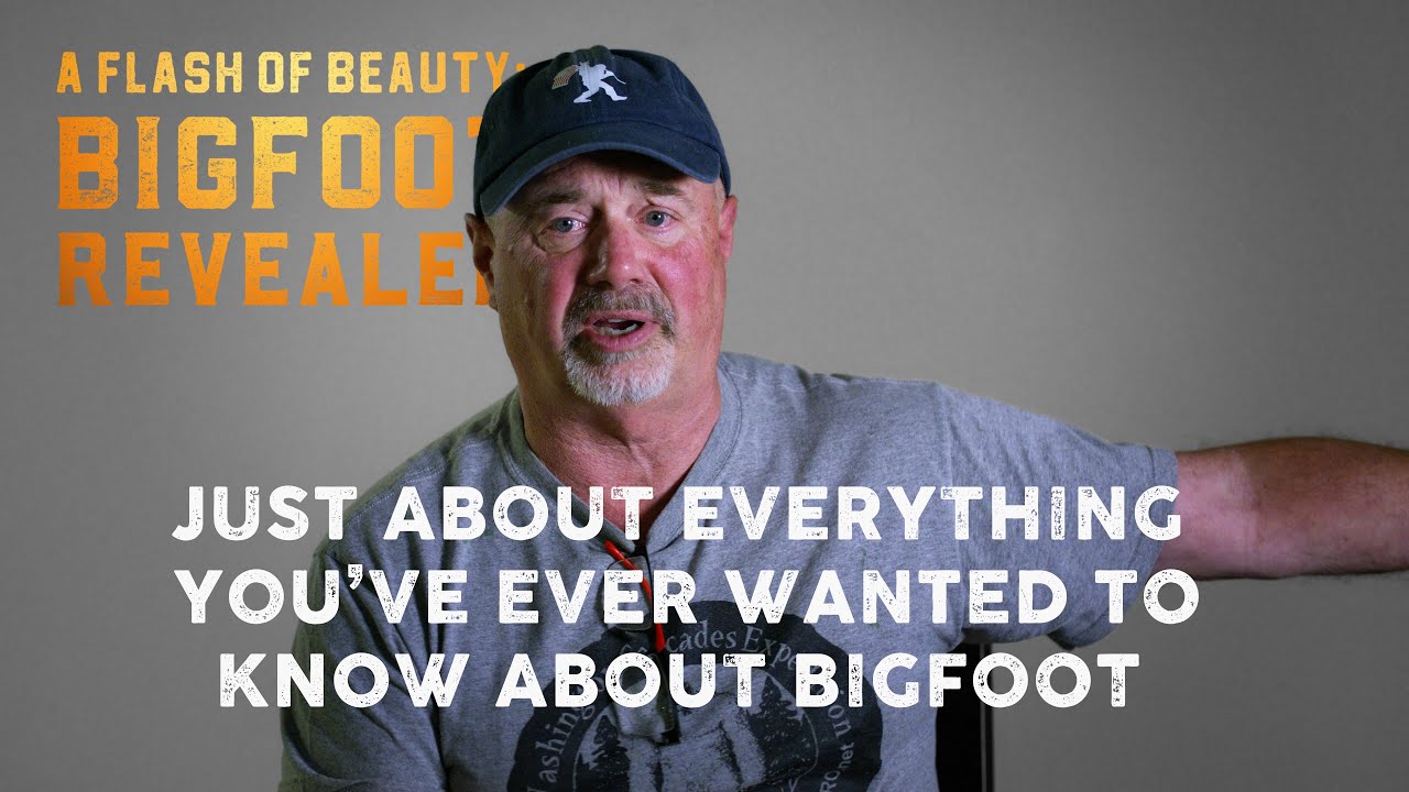 A Flash of Beauty: Scott Taylor