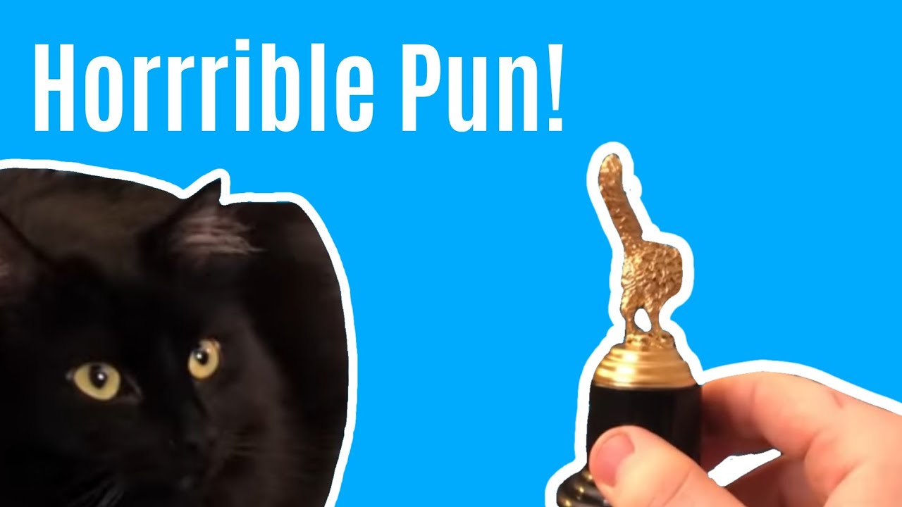A Horrible Cat Pun