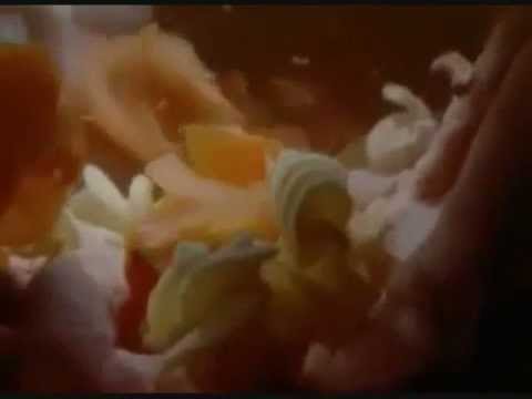 A Look Inside the Stomach