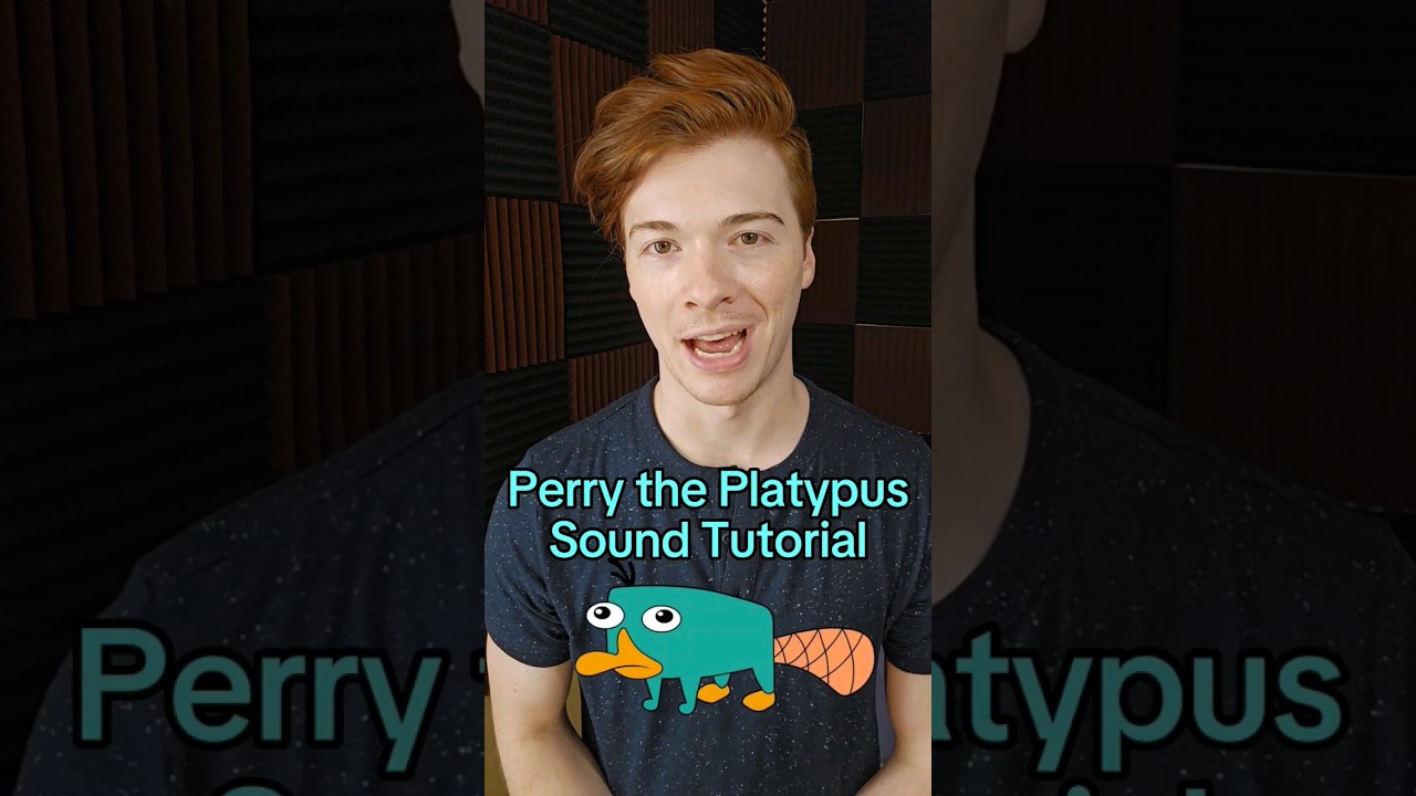 A platypus tutorial? PERRY the Platypus Tutorial?! #Disney #voiceimpressions #impressions #voiceover